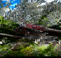 Puffing Billy Railway - Accommodation Resorts