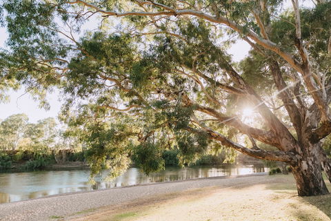 Riverside:  Wagga Beach - Accommodation Resorts 1