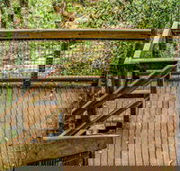 Somersby Falls walking track - Accommodation Resorts