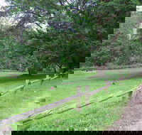 St Albans Reserve - Accommodation Resorts