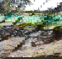 Tactical Paintball Games - Accommodation Resorts