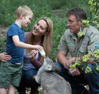 Tamworth Marsupial Park and Adventure Playground - Accommodation Resorts