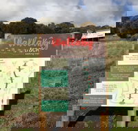 The Wallaby Track - Accommodation Resorts