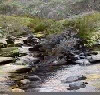 Thredbo River Track - Accommodation Resorts