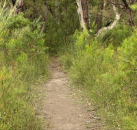 Three Views walking track - Accommodation Resorts