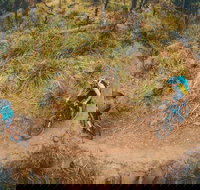 Trevallyn Dam - Accommodation Resorts