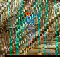 Trees Adventure Yeodene Park - Accommodation Resorts