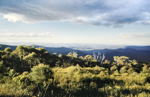 Vista Point Picnic Area - Accommodation Resorts 0