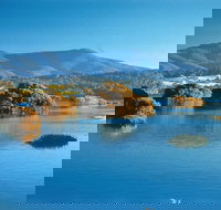 Wagonga Picnic Area - Accommodation Resorts