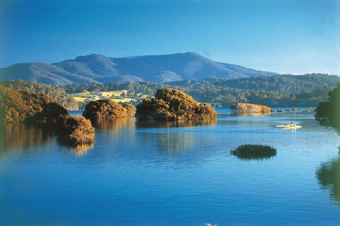 Wagonga Picnic Area - Accommodation Resorts 0