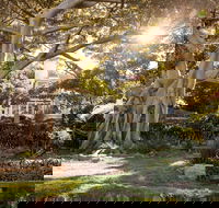 Wendy Whiteley's Secret Garden - Accommodation Resorts