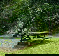 Williams River picnic area - Accommodation Resorts