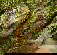 William Ricketts Sanctuary - Accommodation Resorts