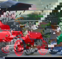 Wonders of Wynyard  Exhibition and Visitor Information Centre - Accommodation Resorts