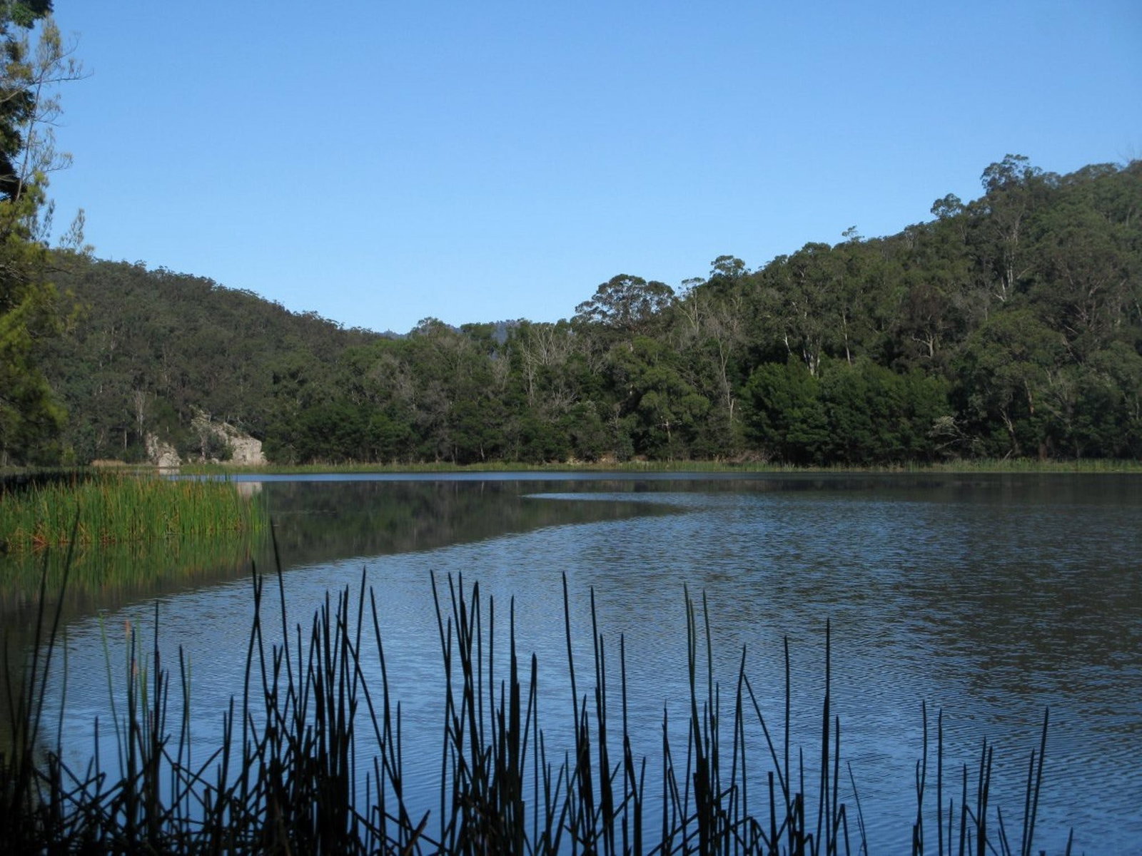 Yalwal NSW Accommodation Resorts