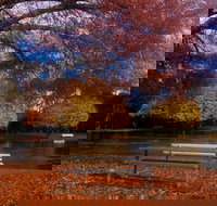 Bells Parade Reserve - Accommodation Resorts