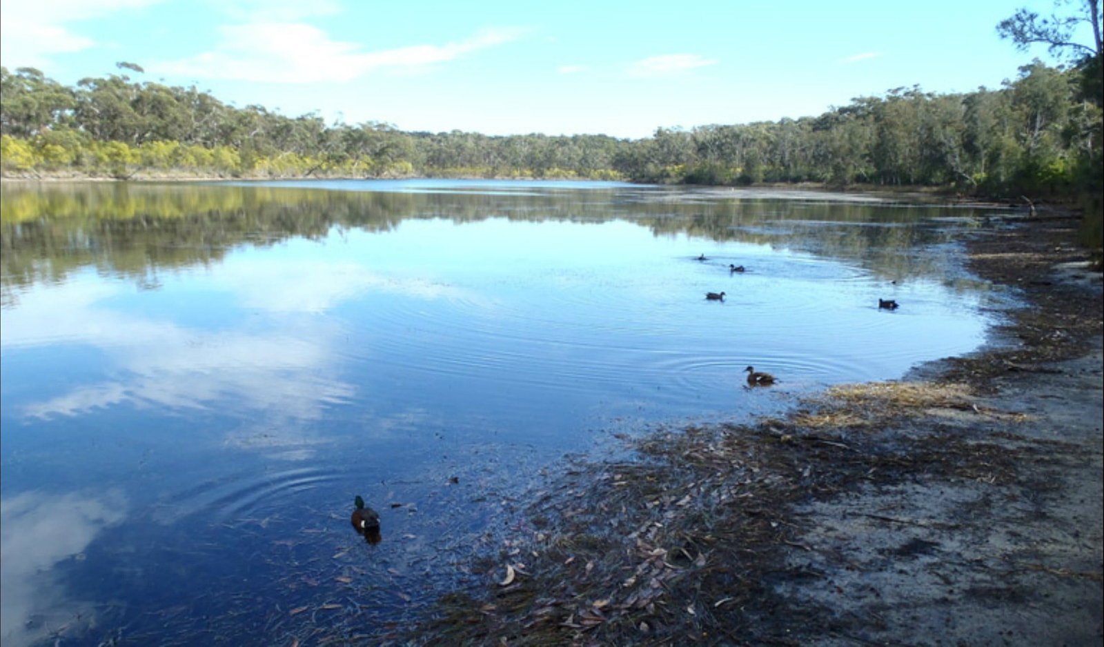 Berrara NSW Accommodation Resorts