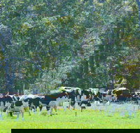 Boyanup - Accommodation Resorts