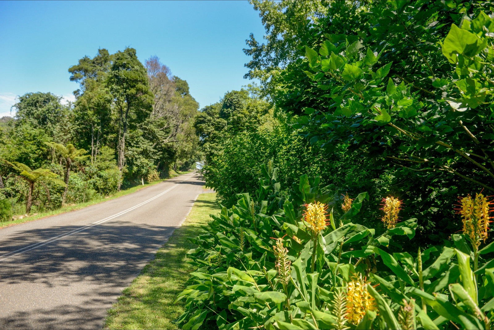 Broughton Vale NSW Accommodation Resorts