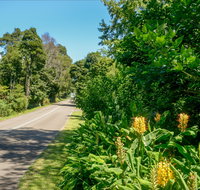 Broughton Vale - Accommodation Resorts