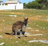 Cape Borda Lightstation - Flinders Chase National Park - Accommodation Resorts