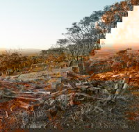 Chick Hill Walk - Accommodation Resorts