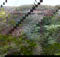 East Rim wildflower walking track - Accommodation Resorts