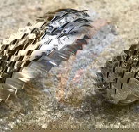 Eclectopia Gifts and Specialty Homewares - Accommodation Resorts