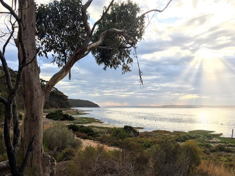 Fish Cannery Walking Trail - Accommodation Resorts 0