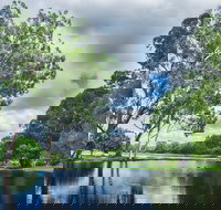 Gold Coast Regional Botanic Gardens - Accommodation Resorts