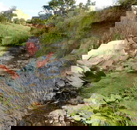 Gold Panning Deep Creek - Accommodation Resorts