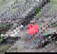 Gunbower Island Forest Drive - Accommodation Resorts