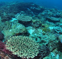 Hanging Rock Dive Site - Accommodation Resorts