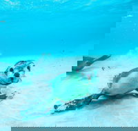 Jurien Bay - Accommodation Resorts