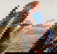 Katherine Outback Experience - Horse Riding Experience - Accommodation Resorts