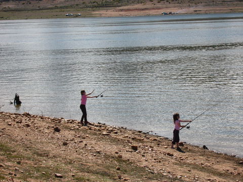 Lake Wyangala - Accommodation Resorts 0