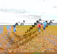 Lake Bindegolly National Park - Accommodation Resorts