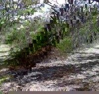 Lanky's Walk - Accommodation Resorts