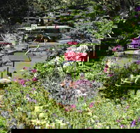 Launceston Gorge Scenic Chairlift - Accommodation Resorts