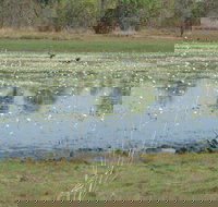 Leaning Tree Lagoon Nature Park - Accommodation Resorts