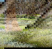 Leaghur State Park - Accommodation Resorts