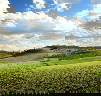 Lions Park Hodgson Vale - Accommodation Resorts