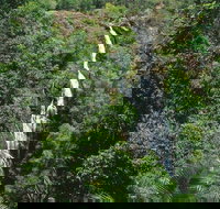 Mapleton - Accommodation Resorts