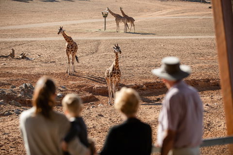 Monarto Safari Park - Accommodation Resorts 0