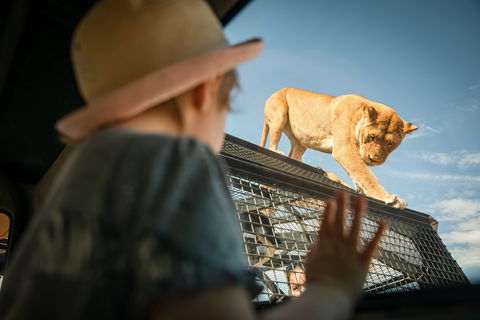 Monarto Safari Park - Accommodation Resorts 2