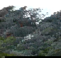Mount Yarrowyck Nature Reserve - Accommodation Resorts