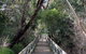 Mulwaree River Walkway - thumb 0