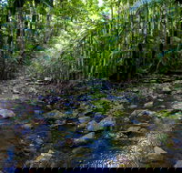 Nambucca Valley - Accommodation Resorts