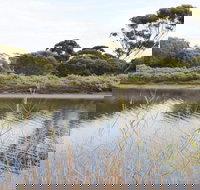 Onkaparinga River Recreation Park - Accommodation Resorts