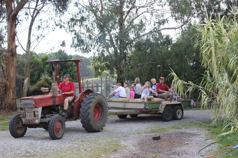 Rain Hayne And Shine Farmyard - Accommodation Resorts 1